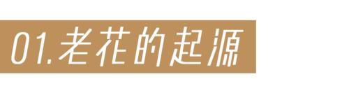 老花包推荐丨经典、时髦、永不过时的存在