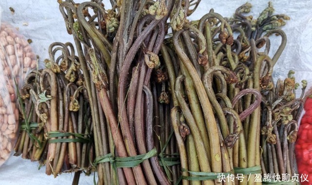 春天里最好吃的9种野菜,再不吃,过了这个月,就要等一年才能有
