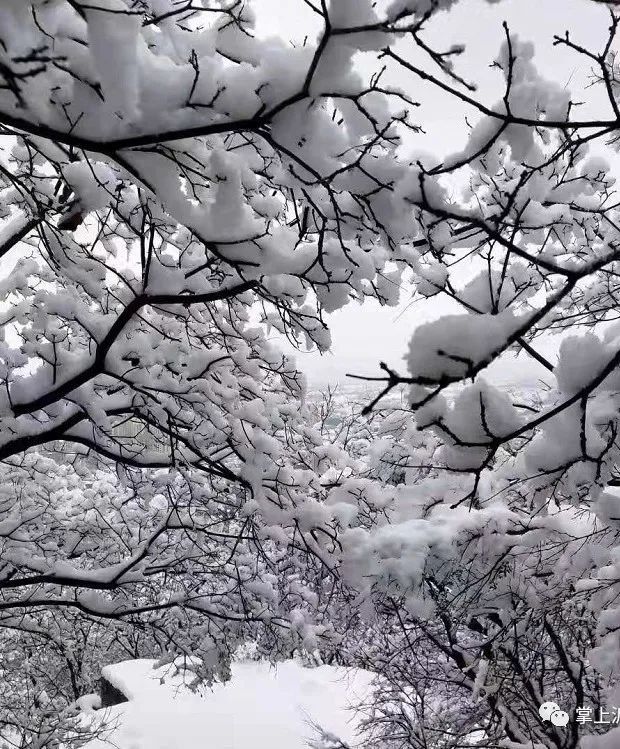 初雪来袭：你在朋友圈晒雪景，我在雪中守护你