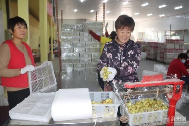 出口包装车|沾化区500吨优质沾化冬枣打包装箱出口美国