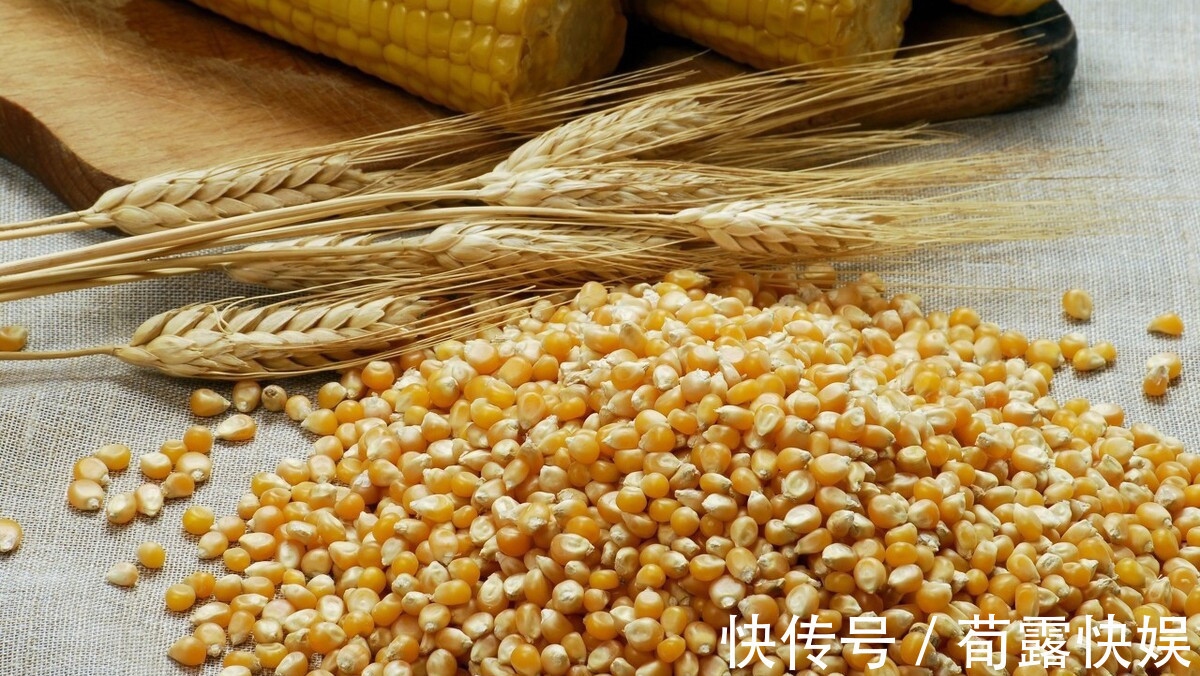 玉米|保存玉米原来很简单,只要学会冻和煮的顺序,久放依旧新鲜美味
