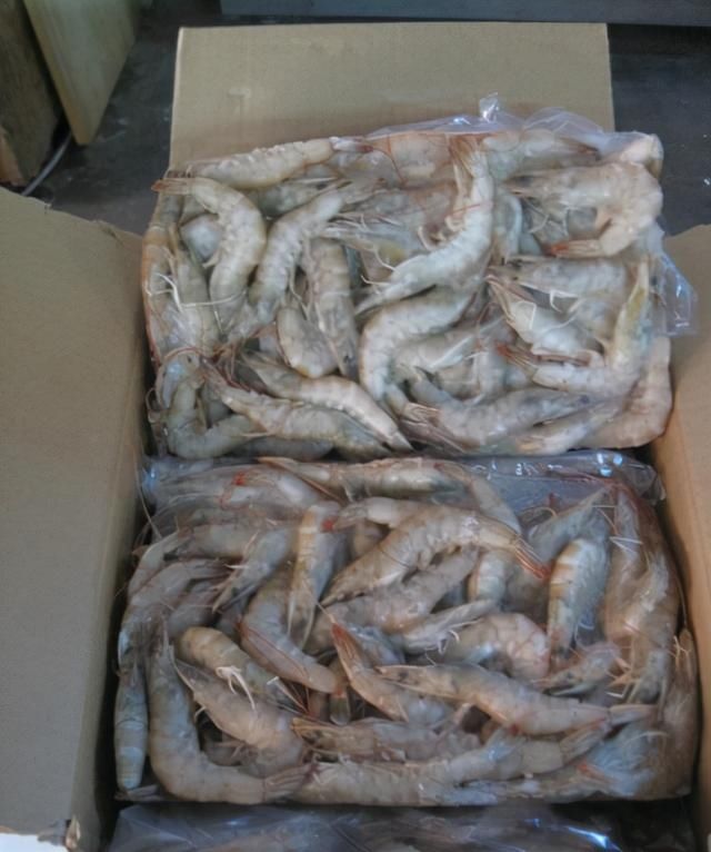 氨基酸|含“寄生虫”最多的3种海鲜，没营养还贵，老板自己从不吃