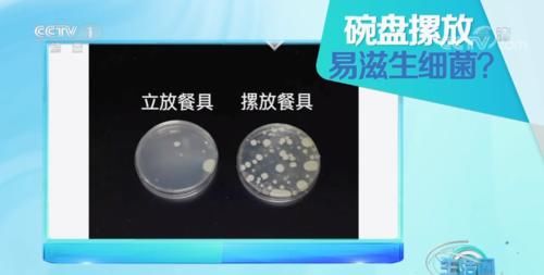 这样洗碗细菌增加70倍！小心全吃进肚子里