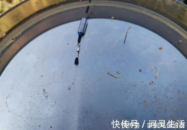饵料|冬钓鲫鱼用多粗的线:0.8子线和0.4子线有何区别?
