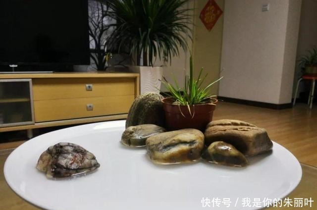 养花|大爷用石头、盘子来养花,布局造景,这就是山水盆景的魅力!