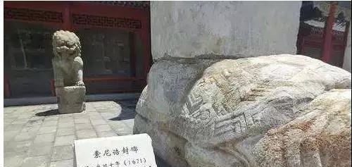  价值连城|7岁女童墓葬中出土的一对价值连城的成化斗彩葡萄纹杯！