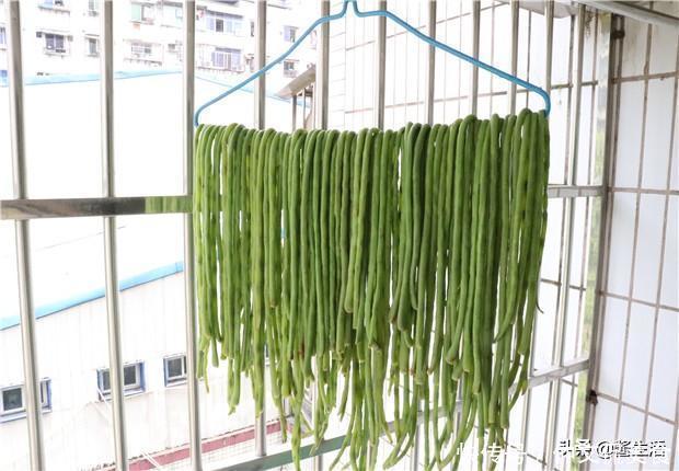 什么豇豆不用放冰箱,学会这1招,放一年都不坏,真的吗?