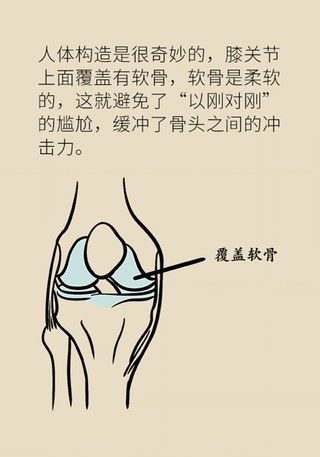 膝盖|别等疼了才就医！忽视这个小问题膝盖离废掉就不远了