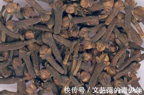 入味|不论卤什么肉,只要加“这6种”香料,肉香软烂,越炖越入味!