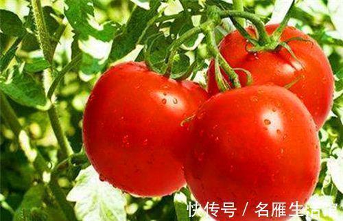 活血补气|会吃的人更健康,坚持常吃4种食物,活血补气,排毒美容