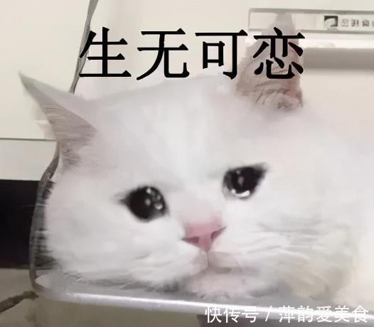 小棉袄|答应我!家有女宝,千万别对她做这6件事