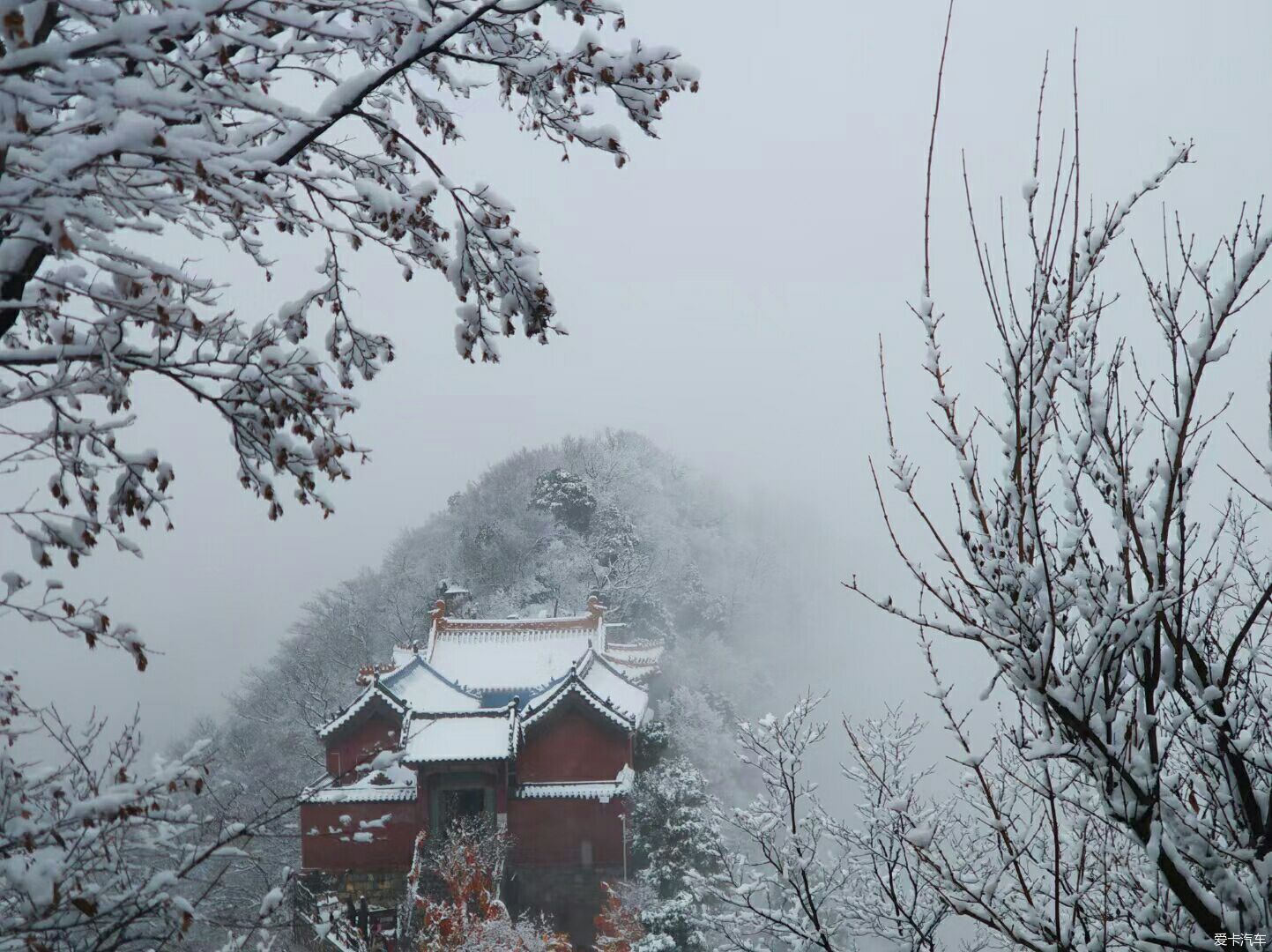 冬天的精灵————雪