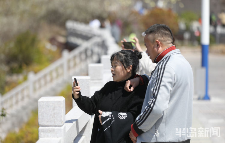 踏青休闲樱桃谷