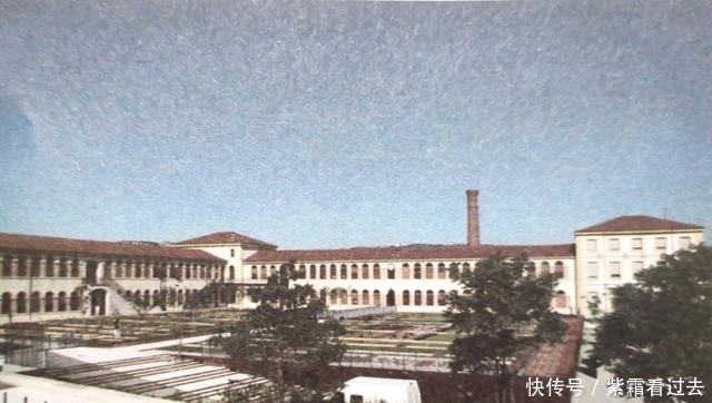 动画|疯影工作室的崛起与发展:如何成为本土化与个性化的人才孵化器?