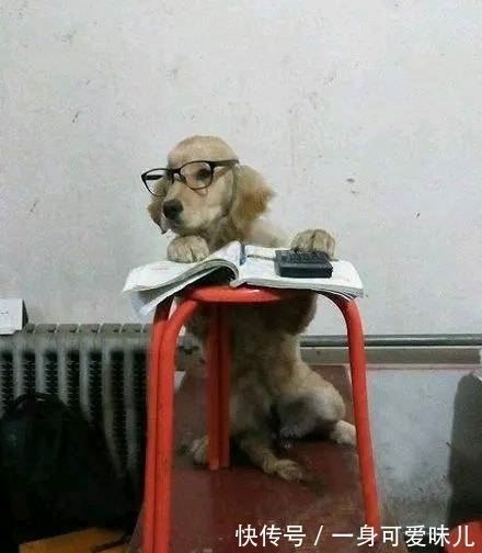 |搞笑图片幽默段子笑话： 妹子，你的头发是咋回事呀，哈哈哈