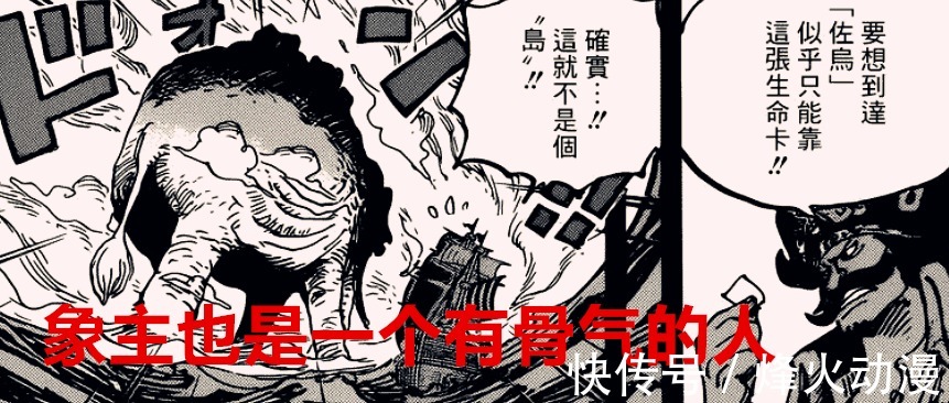 象主|海贼王1040话分析:象主知道创世的真相,乔伊波伊确定是巨人族