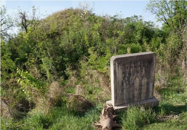 发现|考古挖掘不久即发现盗洞,被笑与盗墓走一条路,进入墓室后意外了