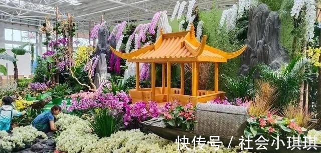 展馆|又是一年花博会！9月28日，来商河赴一场花的邂逅