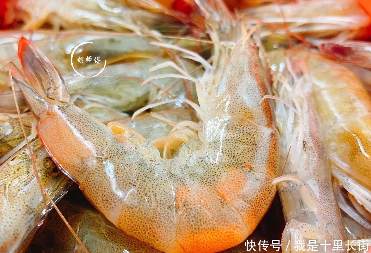 扭头|买大虾时,聪明人看到此3种扭头就走!老渔民说:从不给家人吃