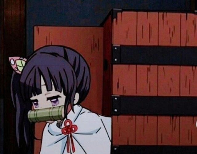 鬼化|当鬼灭之刃全员“鬼化”,炭治郎可爱暴击,你最想抱走哪个箱子