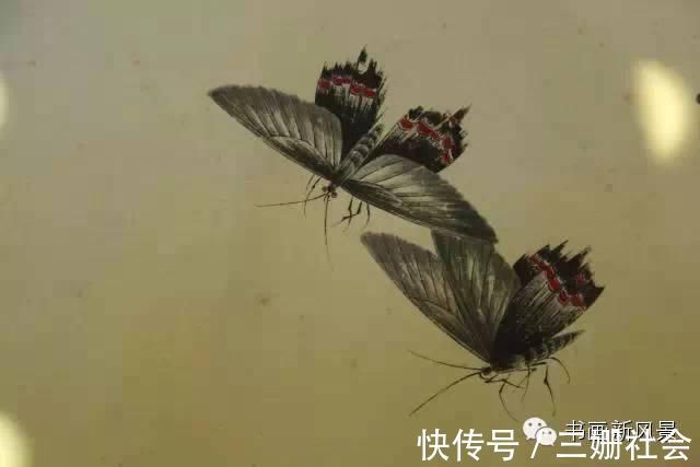 于非闇@齐白石 经典巨创《百虫图卷》，屏息凝神，慢慢欣赏