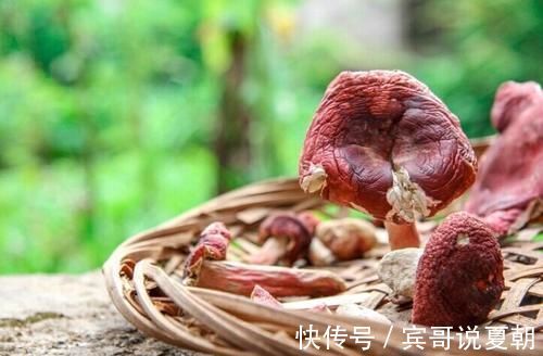 木瓜|每天坚持吃3种食物,营养丰富、滋补身体,早吃早好!