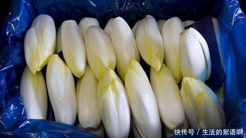 2种菜长得可真快,埋在盆里几天就能吃一茬,比养花都简单!