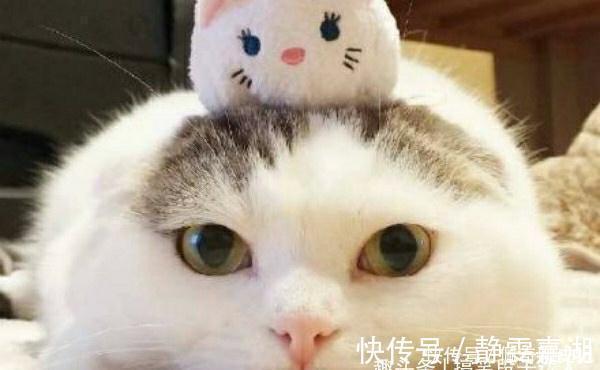 |幽默笑话:陪死党去相亲,双方一见面,我和死党都愣住