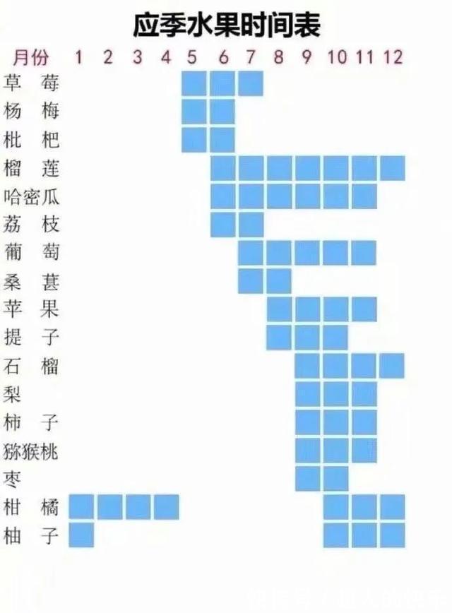 |拍迪士尼烟花翻车现场 冷段子2008