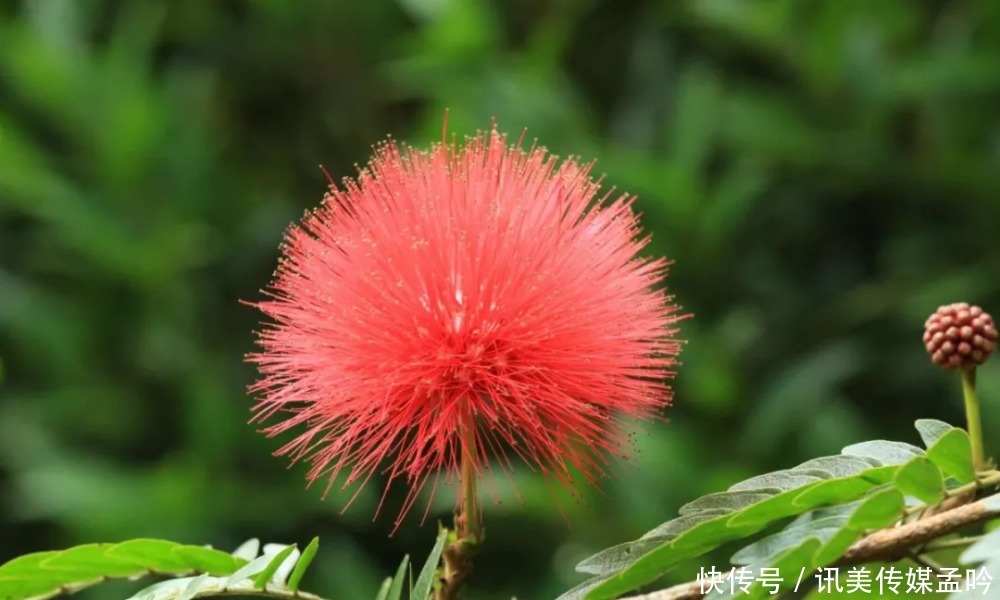 春雨到来，百花盛开！来一场鸟语花香的节后错峰游吧～