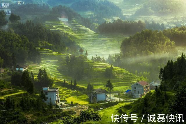 庭院@18首庭院诗词独坐绿荫亭阁里,静思凝视美人蕉