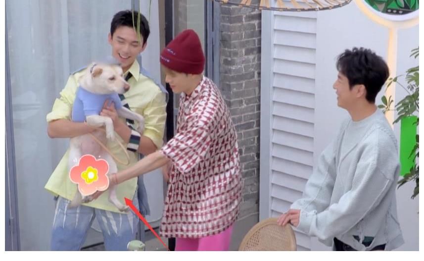 長歌行|吳磊帶愛寵上《拜冰7》，狗險露私處，王嘉爾的這個小動作太暖了