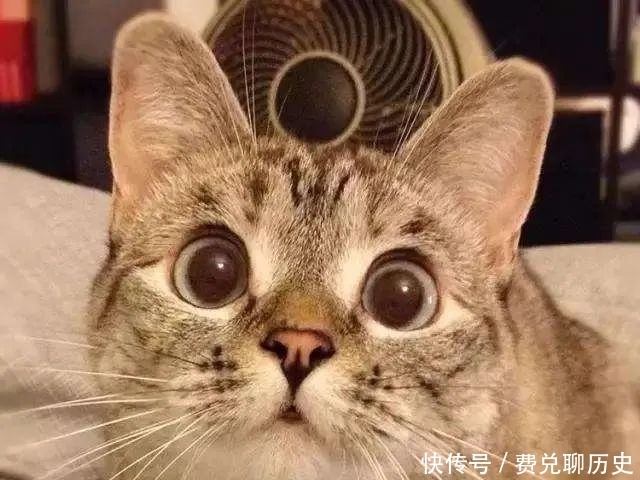 诸葛亮|此人曾怒怼诸葛亮、单挑张飞赵云