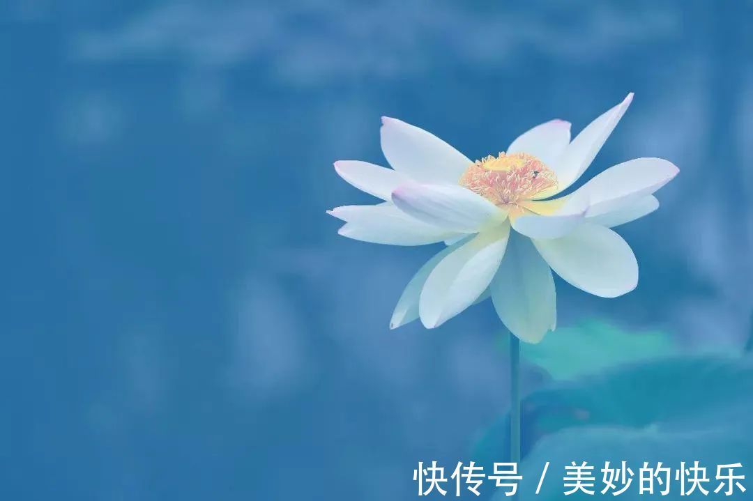 有情有义!宽厚养大气,情义养人气(好文)