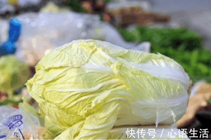 吃了那么多年大白菜，你知道大白菜上的黑点，到底是什么吗