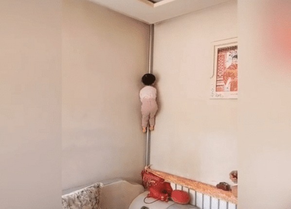 飞毛腿|“飞毛腿宝宝”爬暖气管火了,传说中的“三天不打上房揭瓦”