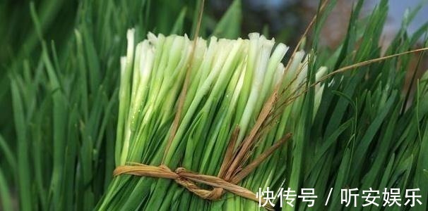维生素c|吃了20多年韭菜,原来韭菜和它吃,营养功效翻倍!可惜懂的人少