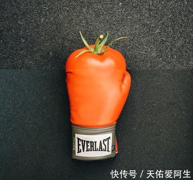 图片|艺术家将两张不同的图片拼接后,奇迹就这样发生了