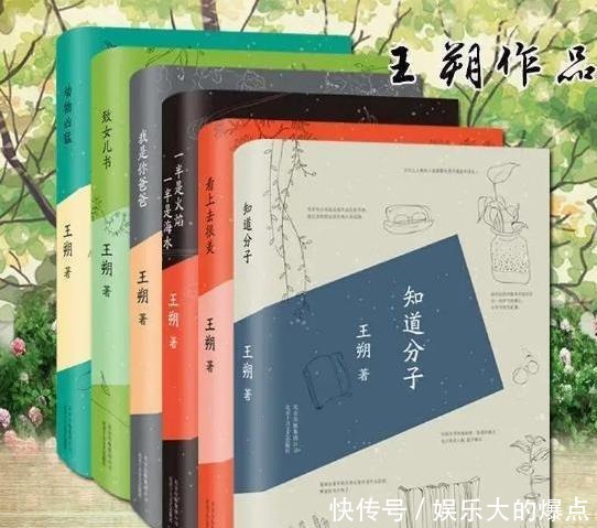 王朔|王朔评白岩松骨子里做作的“肉喇叭”!坐第一排有什么好优越的