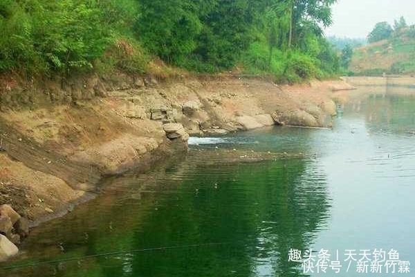 水位|夏季雨后涨水,在这些位置下竿,保证连竿上鱼,狂拉到手酸
