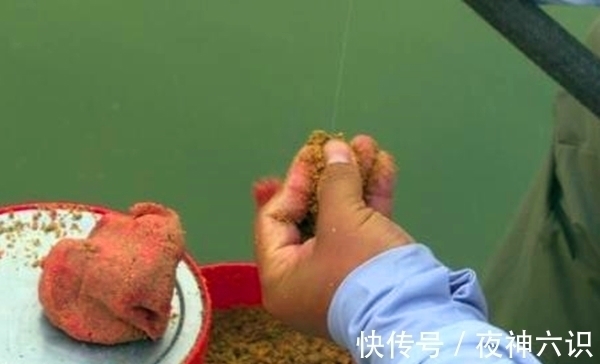 肉夹馍|冬季钓鲫鱼，聚鱼是关键，用这些方法打出立体窝，大鲫鱼连竿上！