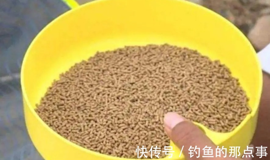 冬钓一时半会很难聚鱼?老司机只说了3句“口诀”,大板鲫特好钓