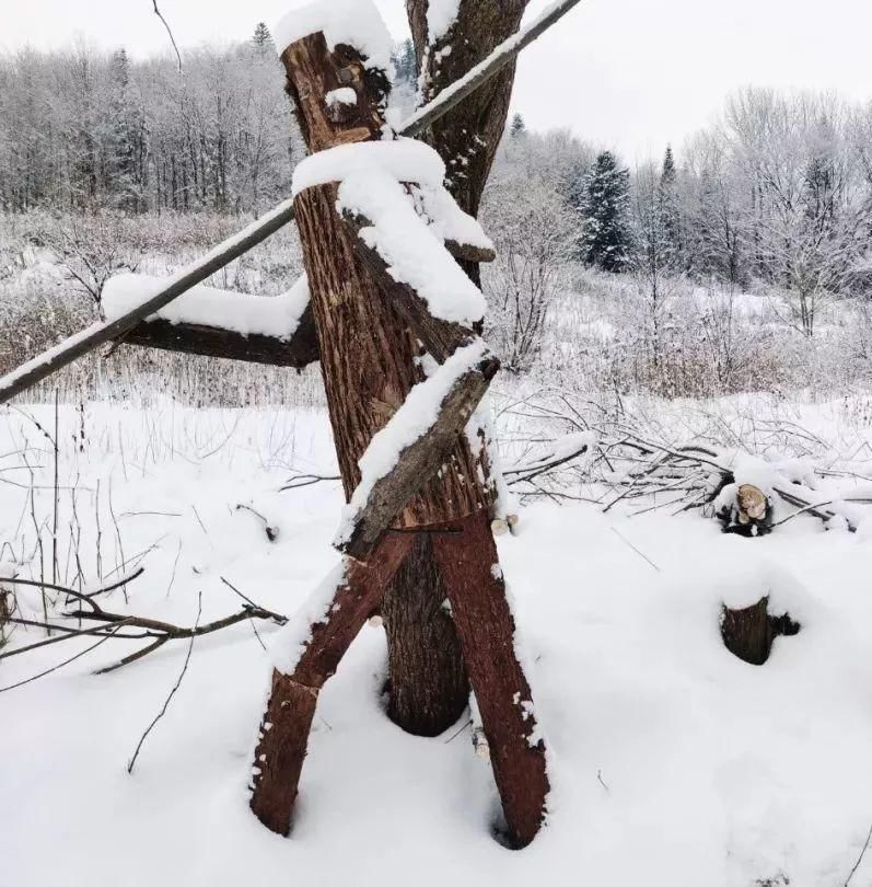 雪谷|?中国雪谷 一路穿行一路风景！