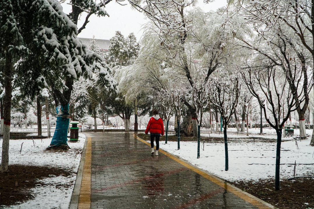 第一场雪|美不胜收！固原迎来今秋第一场雪