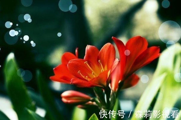 最亲的人#俗语:“人穷不思三人”,指的是哪三个人?可惜明白太晚