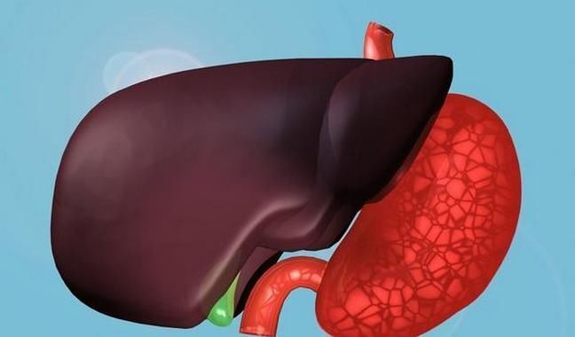 养肝就是“养命”,多吃这6样食物,清理体内肝毒,健康更长寿