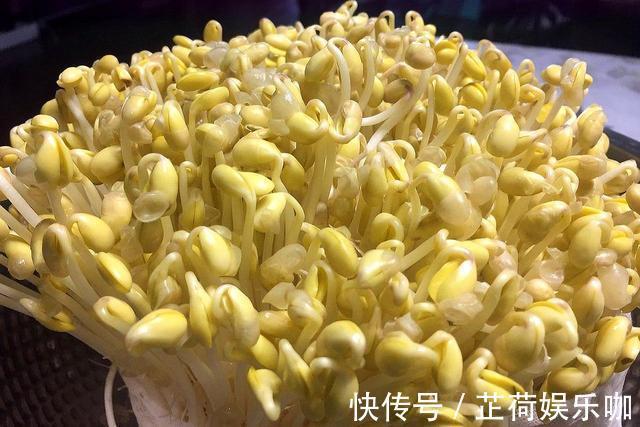 黄豆|教你在家发豆芽,不用土壤不用肥料,3天就能吃,脆嫩营养又卫生