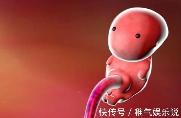 发育|胎宝待在妈妈肚子里10个月,但只在这3周发育智力,孕妈别错过