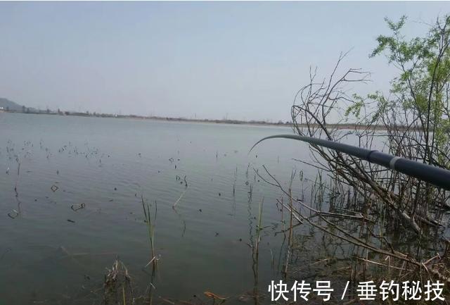 天一冷，都在钓草洞，殊不知草洞的学问还不少，一般人可不晓得