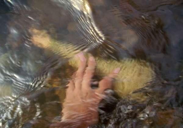 打工仔回到家乡,再钓一次故乡河里的小鱼